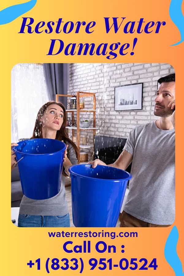 water restoration Elite Flood Damage Crew Kinston