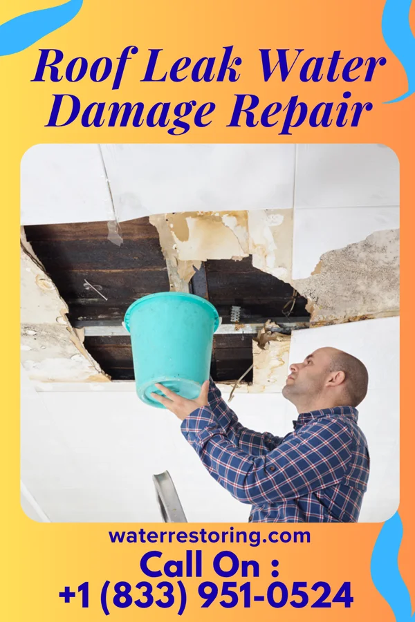 Roof Leak Water Damage Repair in Kinston, NC