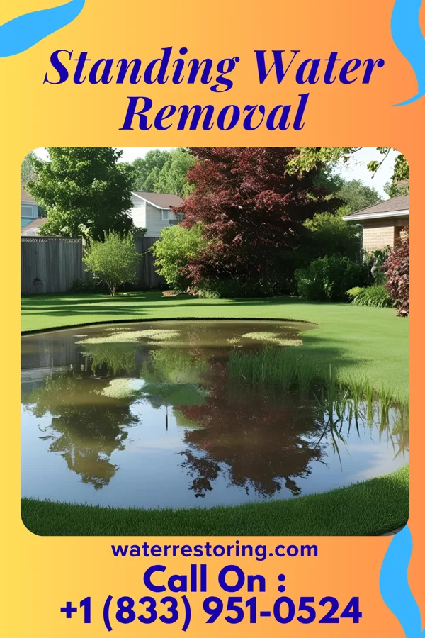 Standing Water Removal in Kinston, NC